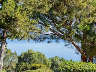 Villa Porto Vecchio Environnement 16