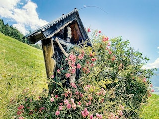 Chalet Piesendorf Environment 26