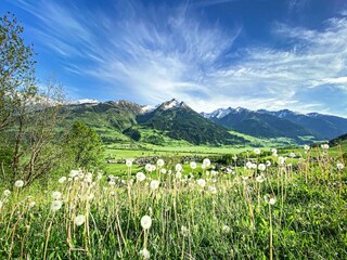 Chalet Piesendorf Ambiente 35