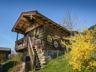 Chalet Piesendorf Ambiente 36