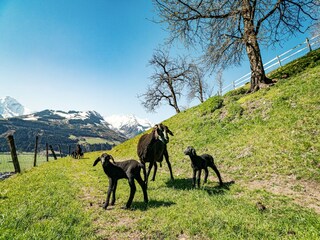 Chalet Piesendorf Ambiente 39