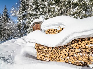 Chalet Piesendorf Ambiente 45