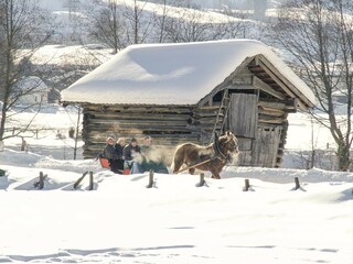 Chalet Piesendorf Ambiente 46