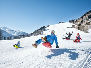 Chalet Piesendorf Ambiente 50