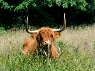 Holiday park Haaksbergen Environment 24