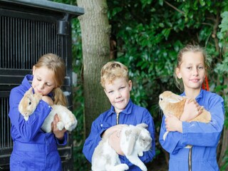 Holiday park Haaksbergen  35