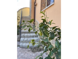 Apartment Domus de Maria Außenaufnahme 6