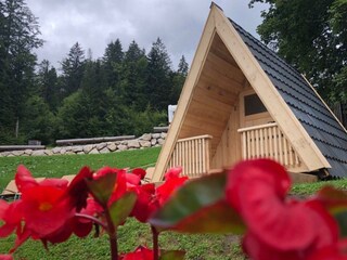 Das Schutzhaus, Bad Aussee, Naturloft