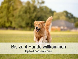 Luxus Chalet Salzenweiler