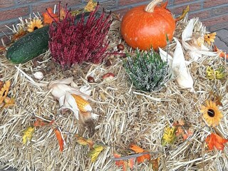 Herbst im Solling