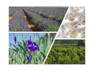 Ferienhaus Cotignac  19