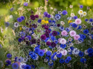 Ferienwohnung Wittmund Außenaufnahme 3