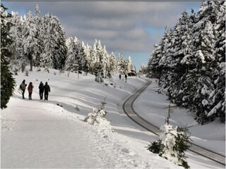 Apartment Deutschland Environment 17