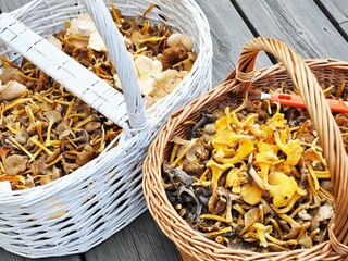 Ferienhaus Varekil Außenaufnahme 1