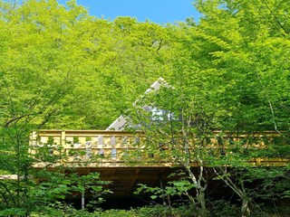 Chalet Durbuy Omgeving 10