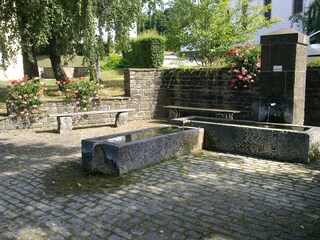 Vakantieappartement Mandelbachtal Omgeving 21