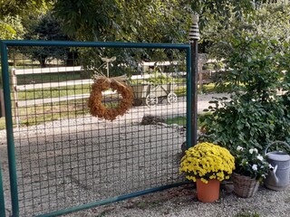 Apartamento de vacaciones Mandelbachtal Grabación al aire libre 4