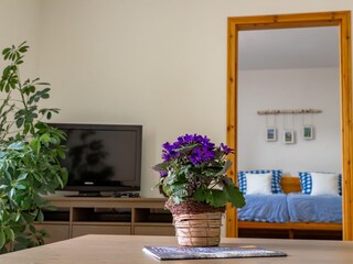 Apartamento de vacaciones Mandelbachtal Características 12