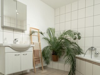 Apartamento de vacaciones Mandelbachtal Características 13