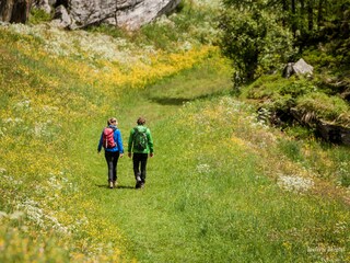 Hiking paradise Ahrntal