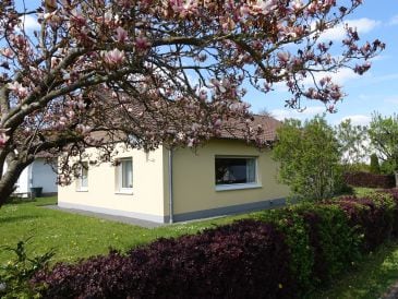 Ferienwohnung Breuer