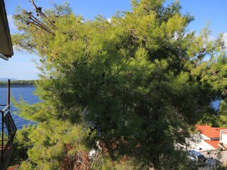 Apartment Prizba  24