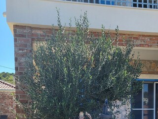 Holiday house Zdrelac  9