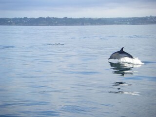 Casa per le vacanze Plouzané Ambiente 43