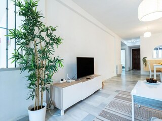 Apartamento Puerto Banus Características 13