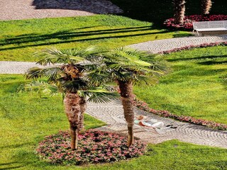 Parc de vacances Baveno Enregistrement extérieur 11