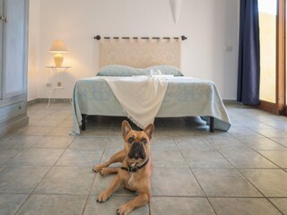 Parc de vacances Palau Équipement 15