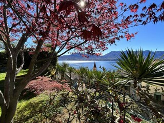 Villa Oggebbio Außenaufnahme 23