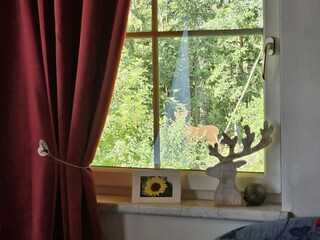 Appartement de vacances Höfen Équipement 16