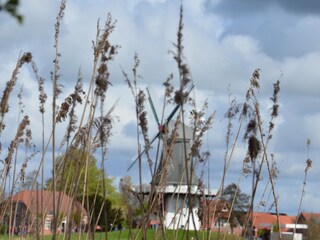 Holiday apartment Greetsiel Environment 34