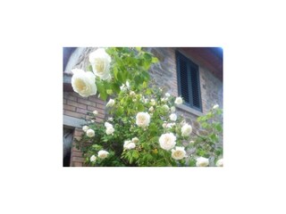 Außenbereich des Hauses