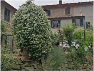 Außenbereich des Hauses