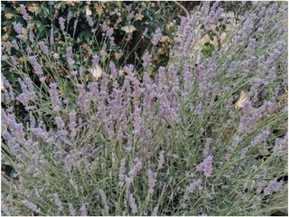 Außenbereich des Hauses