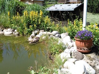 Ferienwohnung Oberreute Außenaufnahme 5