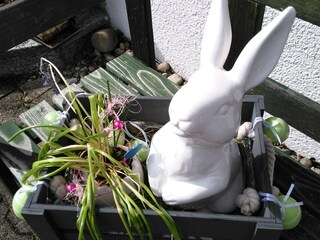 Ferienwohnung Oberreute Außenaufnahme 6