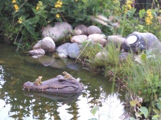 ...mit "gefährlichen"  Tieren ...