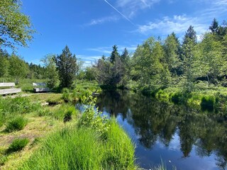 Wildrosenmoos - auf der Wanderun g nach Sulzberg/Österr