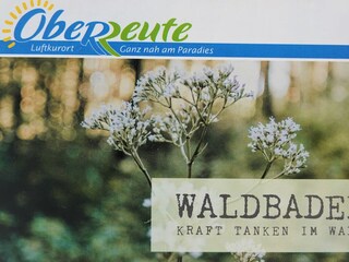 Ferienwohnung Oberreute Umgebung 13