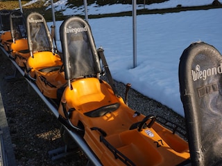 Alpseecoaster 3km lange Rodelbahn