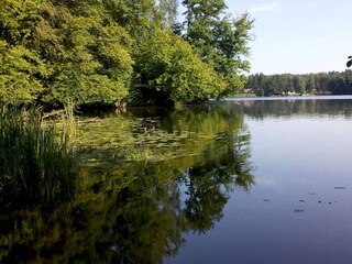 Maison de vacances Sarbinowo Environnement 27