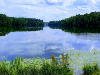 Maison de vacances Sarbinowo Environnement 28