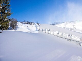 Chalet Saint-François-Longchamp Environment 21