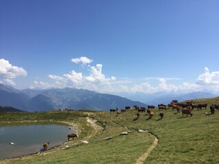 Chalet Saint-François-Longchamp Environment 22