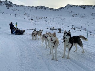 Chalet Saint-François-Longchamp  31