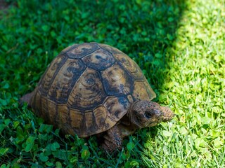 Apartamento Cavtat  28