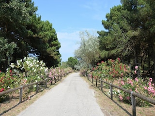 Holiday park Lido di Spina  39